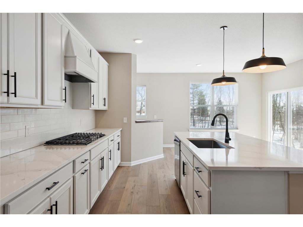 11050 Archer Court N Dayton MN 55369 7084219 image9