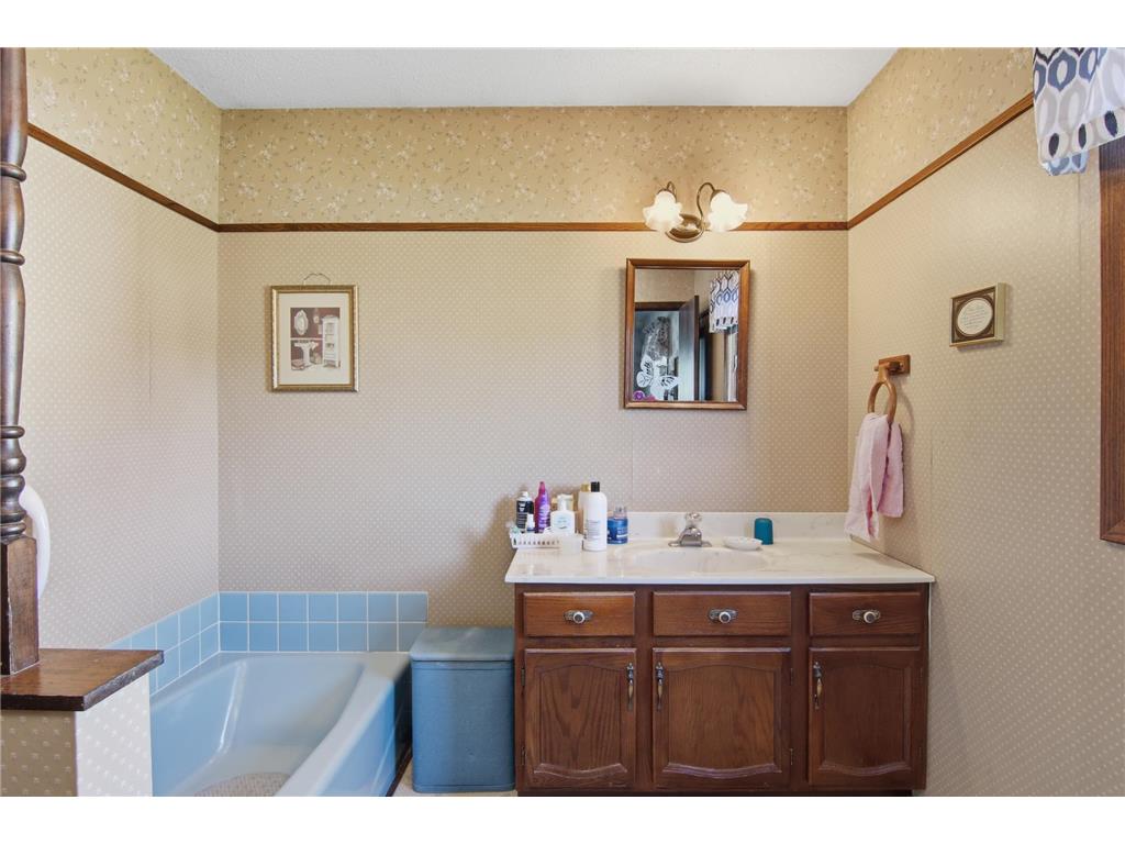 1106 Pierce Avenue Wabasha MN 55981 7057925 image14
