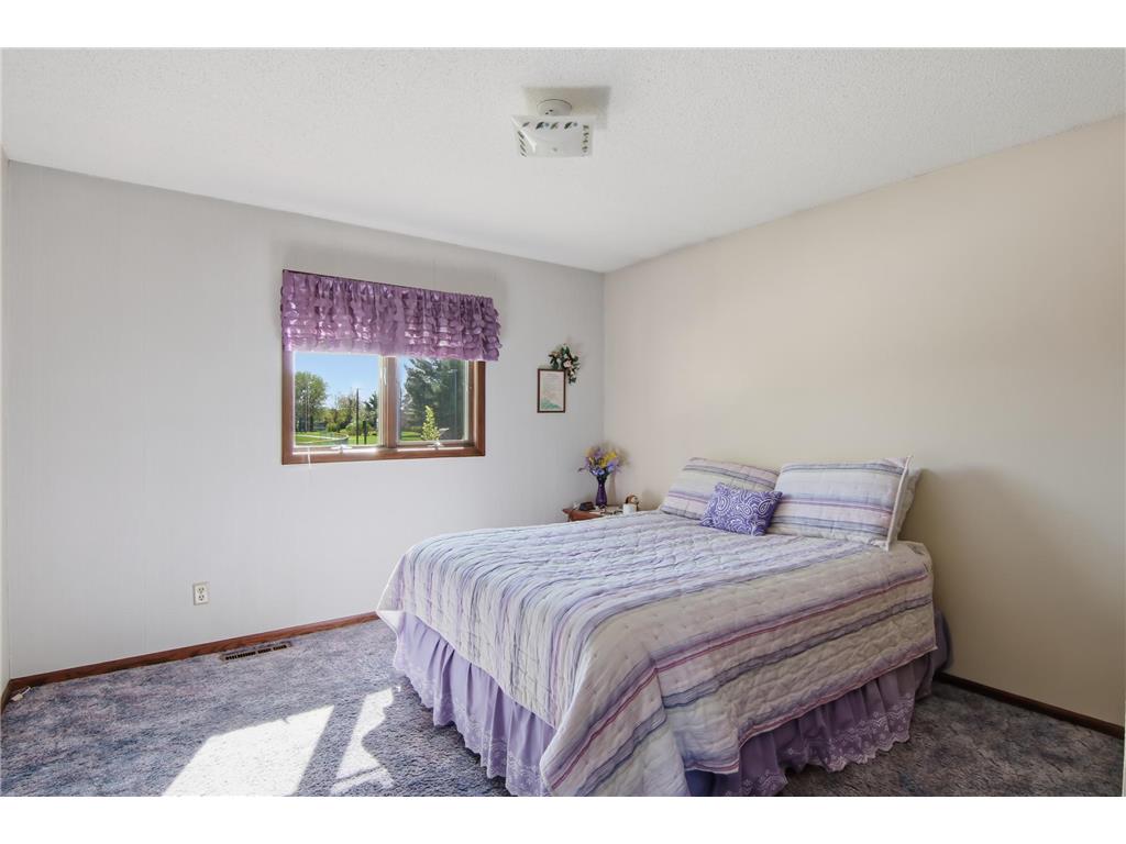 1106 Pierce Avenue Wabasha MN 55981 7057925 image22