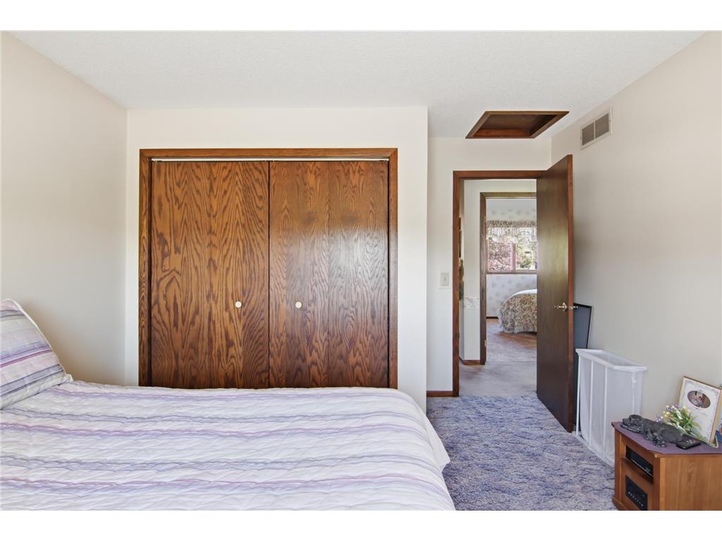 1106 Pierce Avenue Wabasha MN 55981 7057925 image23