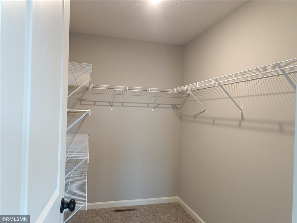 1107 Otto Drive N Delano MN 55328 6787044 image15