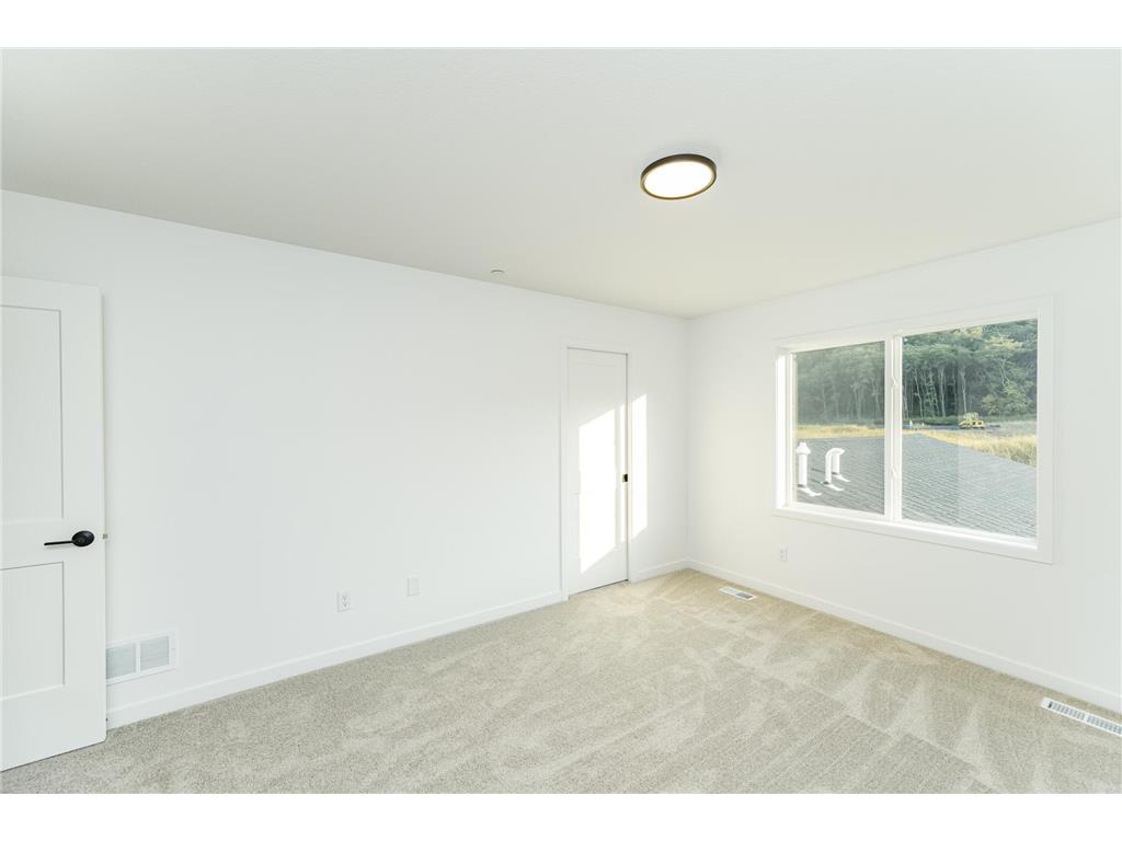 1109 Century Village Lane NE Rochester MN 55906 7042709 image19