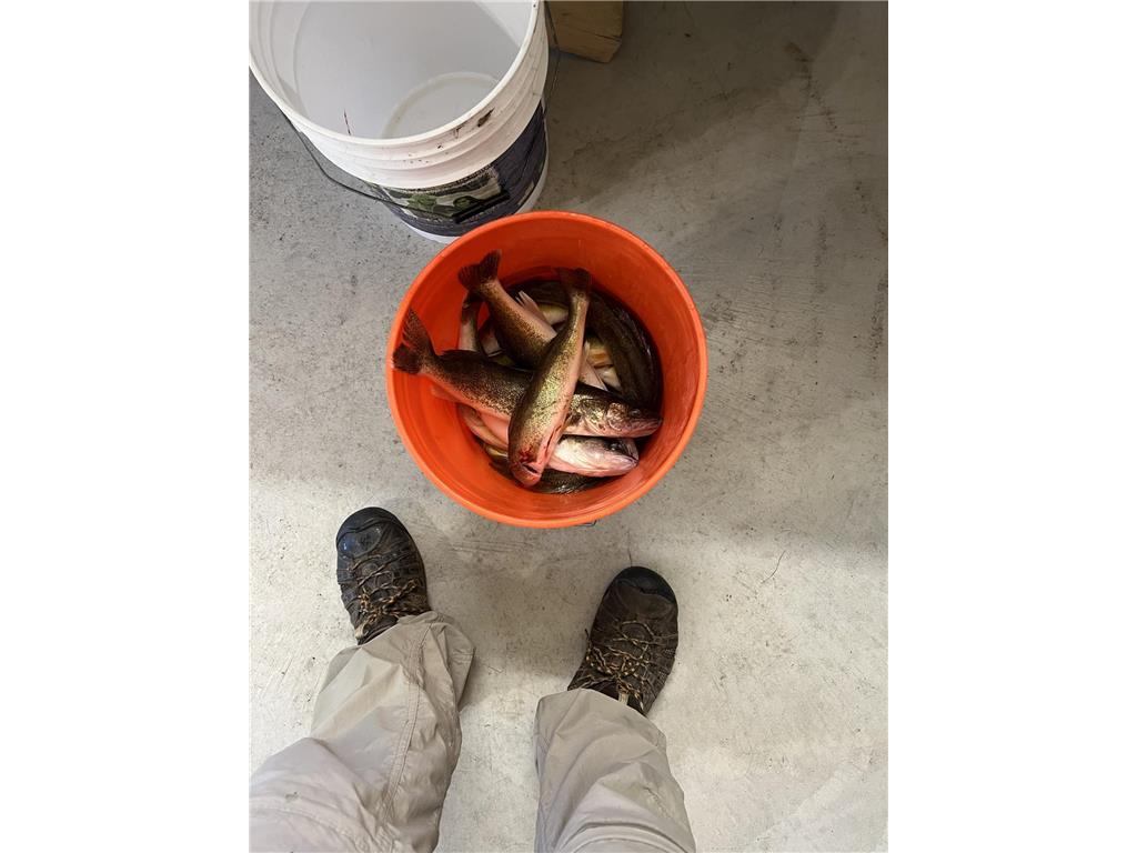 11095 Ottertail Point Drive NW Cass Lake MN 56633 - Leech Lake 7030008 image3