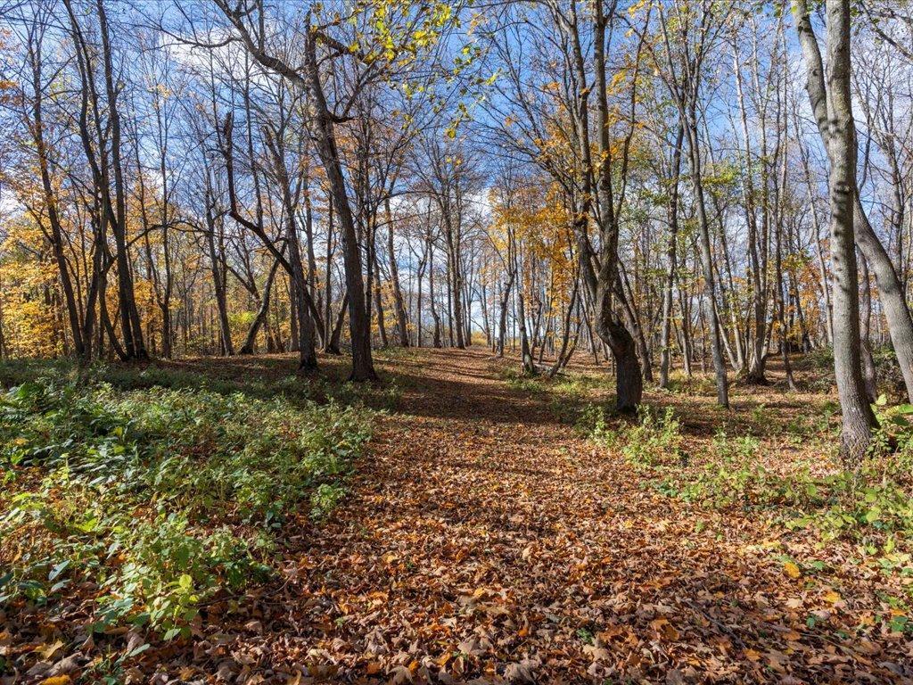 11095 Ottertail Point Drive NW Cass Lake MN 56633 - Leech Lake 7030008 image5