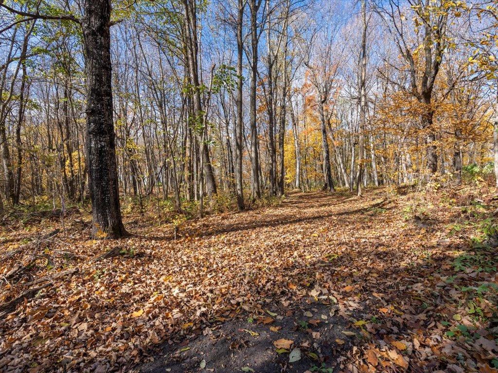 11095 Ottertail Point Drive NW Cass Lake MN 56633 - Leech Lake 7030008 image6