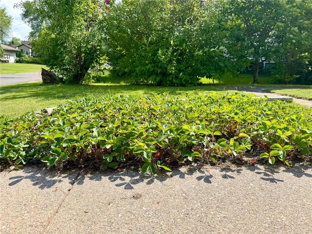 111 3rd Avenue N Hibbing MN 55746 7100473 image10