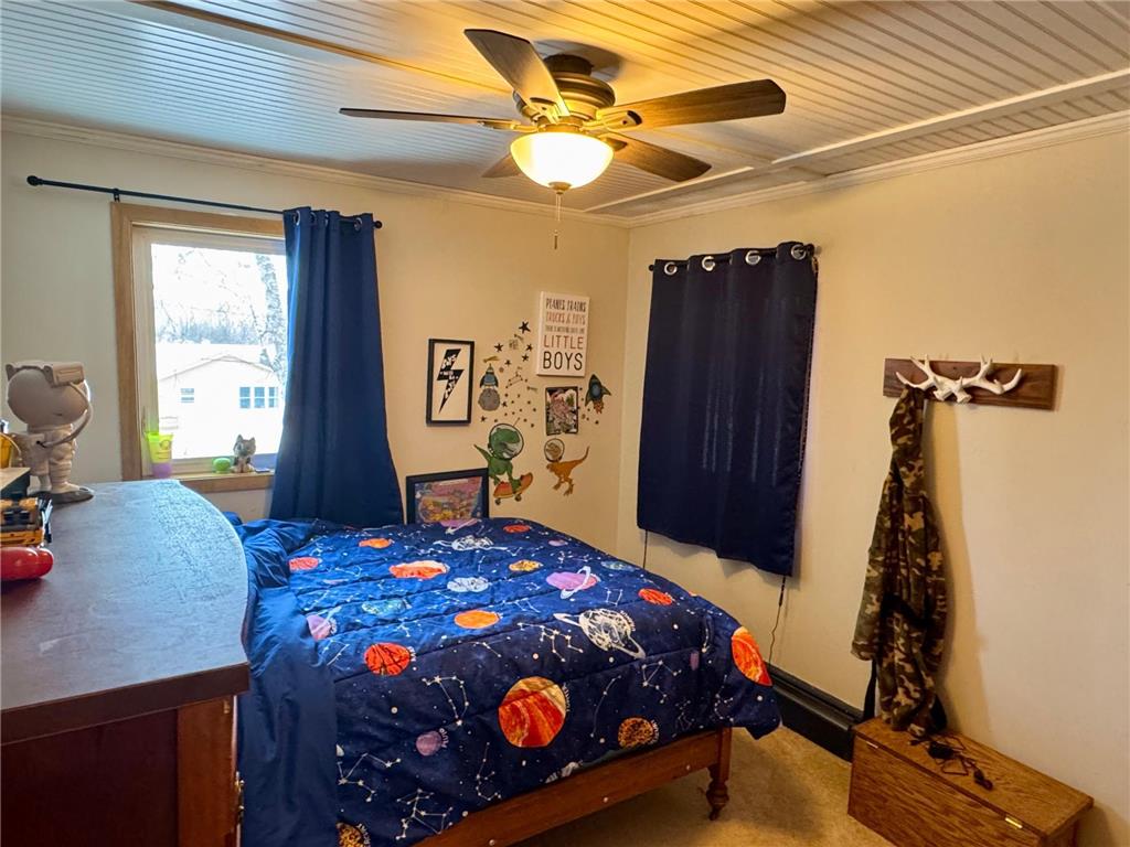 111 Cherry Avenue Bird Island MN 55310 6821899 image23