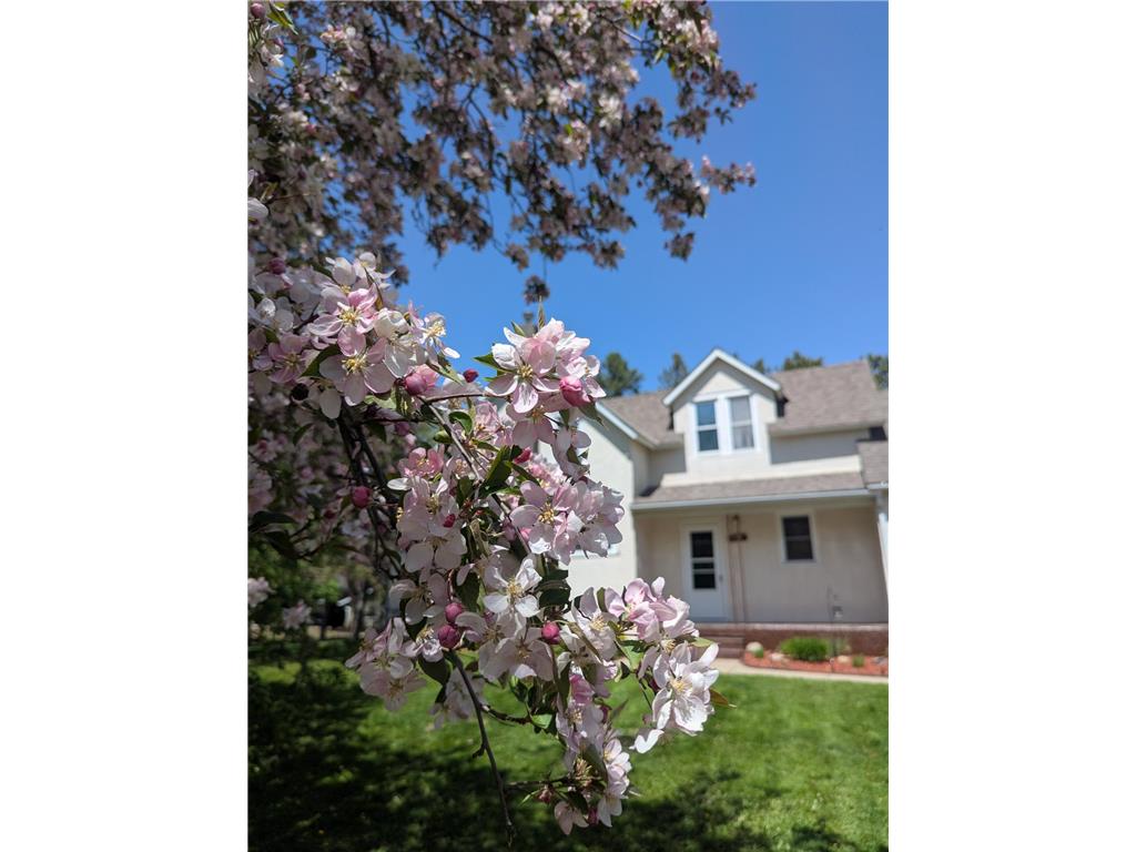 111 E Elm Avenue Upsala MN 56384 7048711 image3