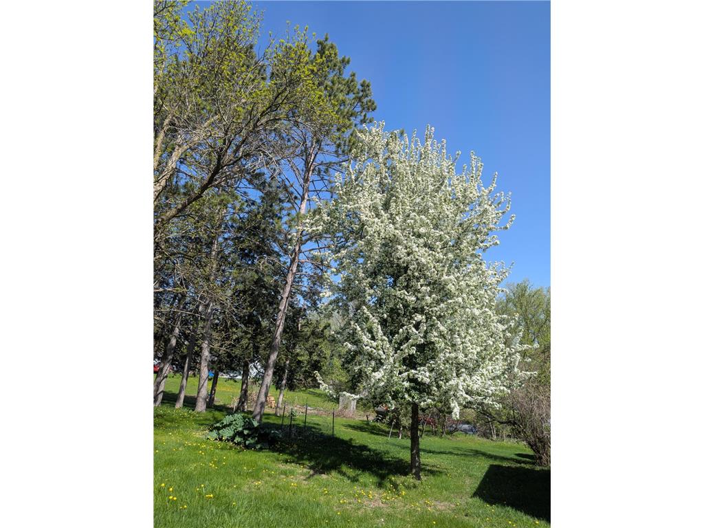 111 E Elm Avenue Upsala MN 56384 7048711 image37