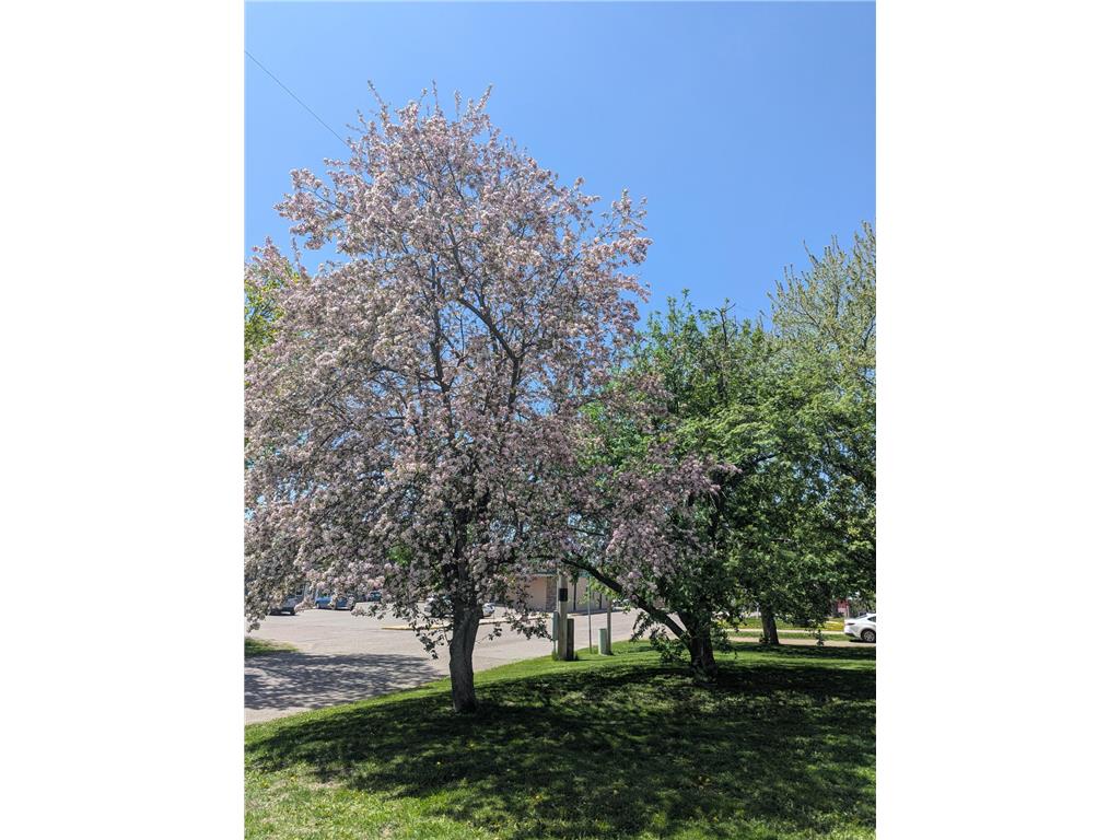 111 E Elm Avenue Upsala MN 56384 7048711 image38