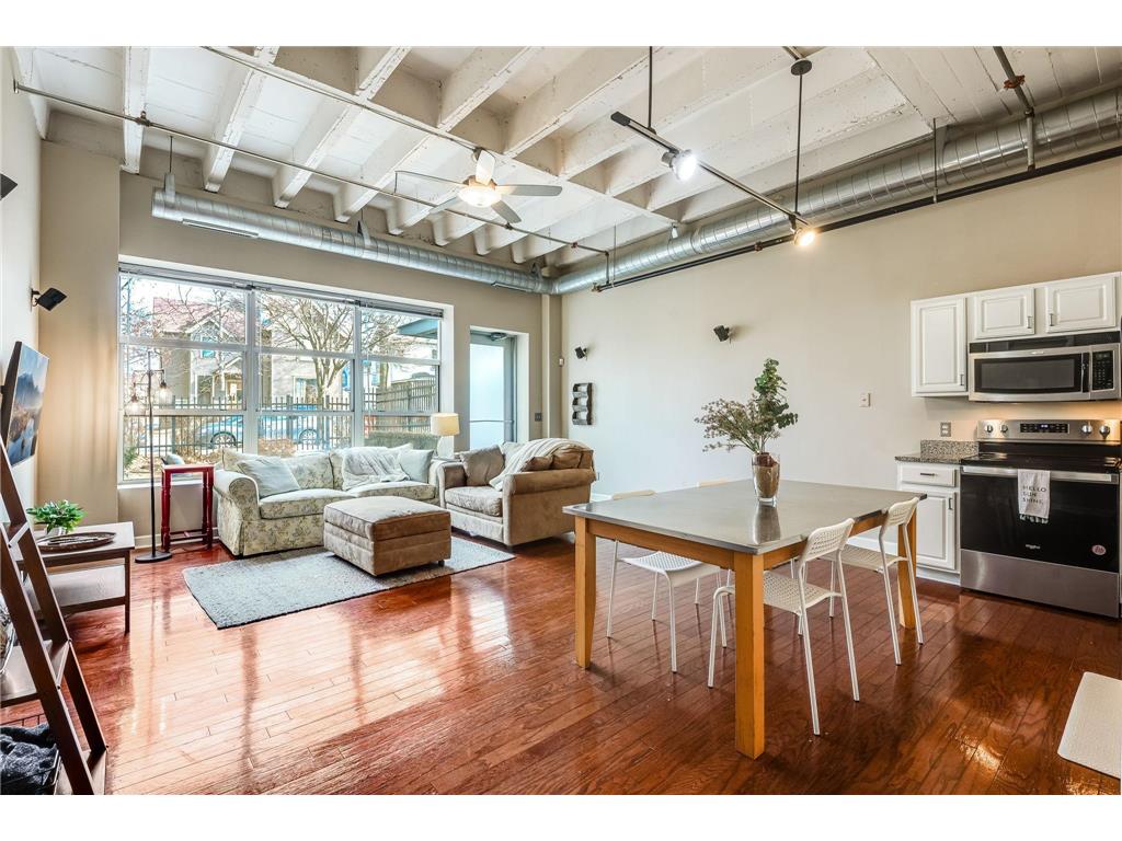 111 E Franklin Avenue #109 Minneapolis MN 55404 6676284 image1