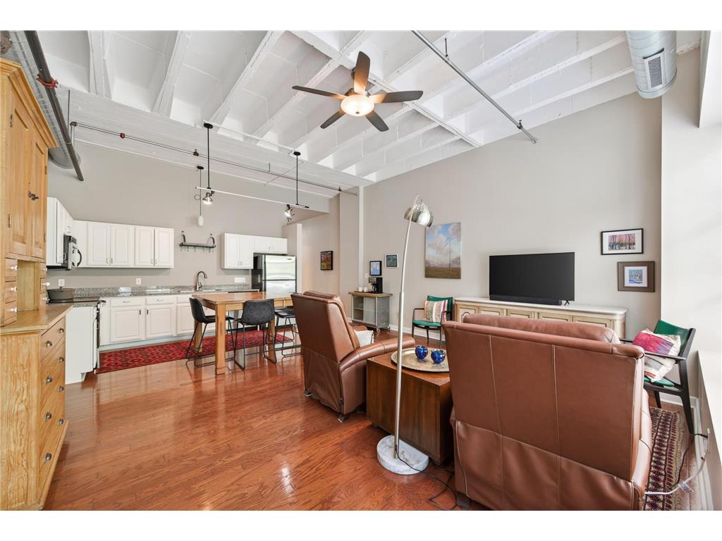 111 E Franklin Avenue #109 Minneapolis MN 55404 7085560 image1