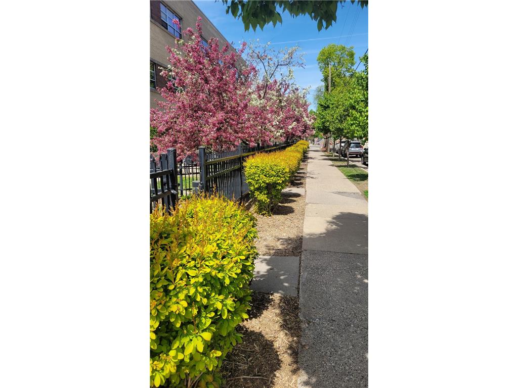 111 E Franklin Avenue #109 Minneapolis MN 55404 7085560 image19