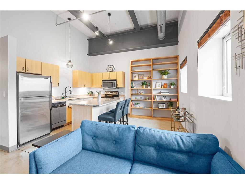 111 E Franklin Avenue #212 Minneapolis MN 55404 6609101 image1