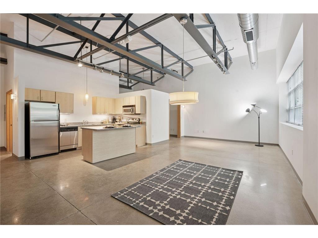 111 E Franklin Avenue #215 Minneapolis MN 55404 7013539 image2