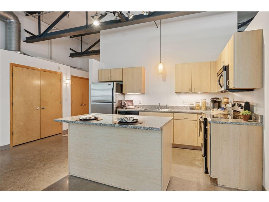 111 E Franklin Avenue #215 Minneapolis MN 55404 7013539 image3
