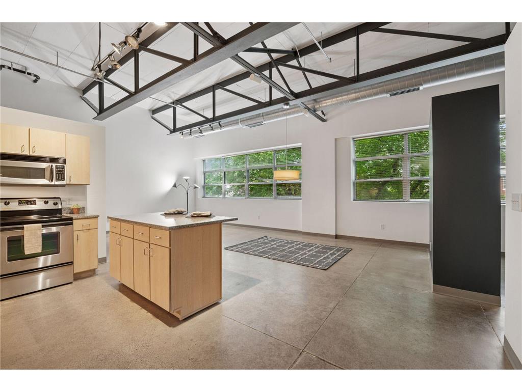 111 E Franklin Avenue #215 Minneapolis MN 55404 7013539 image4
