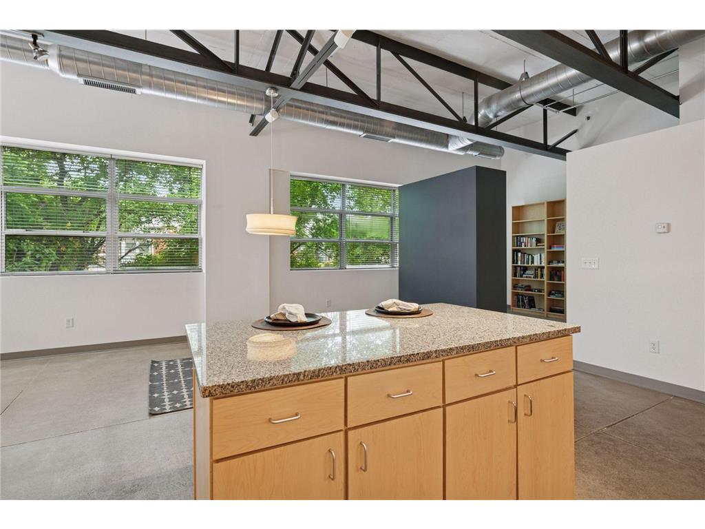 111 E Franklin Avenue #215 Minneapolis MN 55404 7013539 image7