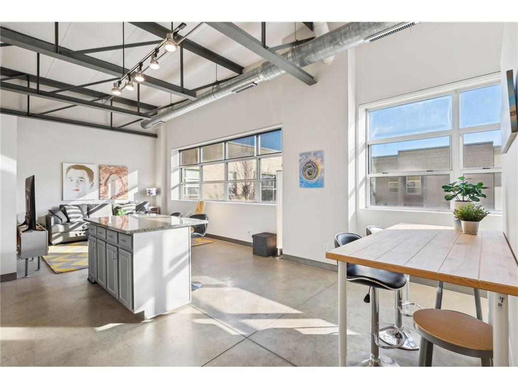 111 E Franklin Avenue #303 Minneapolis MN 55404 6671503 image1