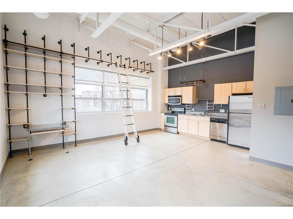 111 E Franklin Avenue #306 Minneapolis MN 55404 6703477 image1