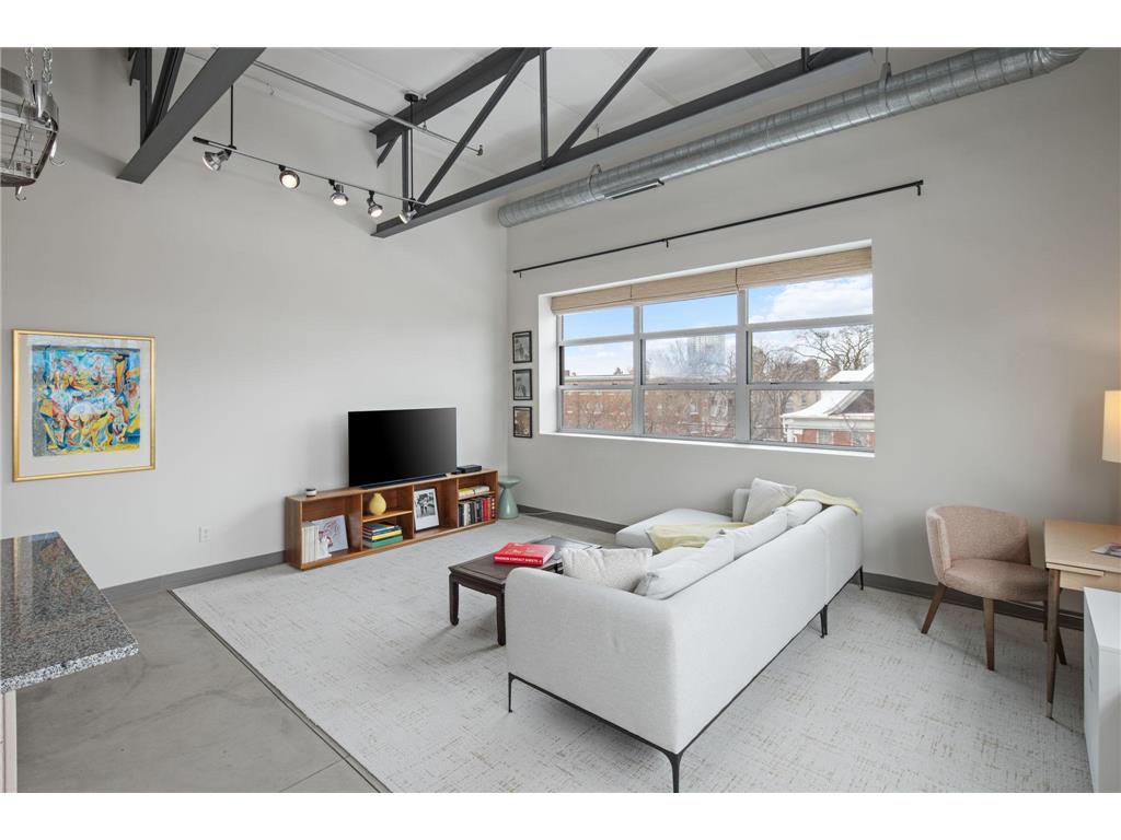 111 E Franklin Avenue #316 Minneapolis MN 55404 7060557 image3