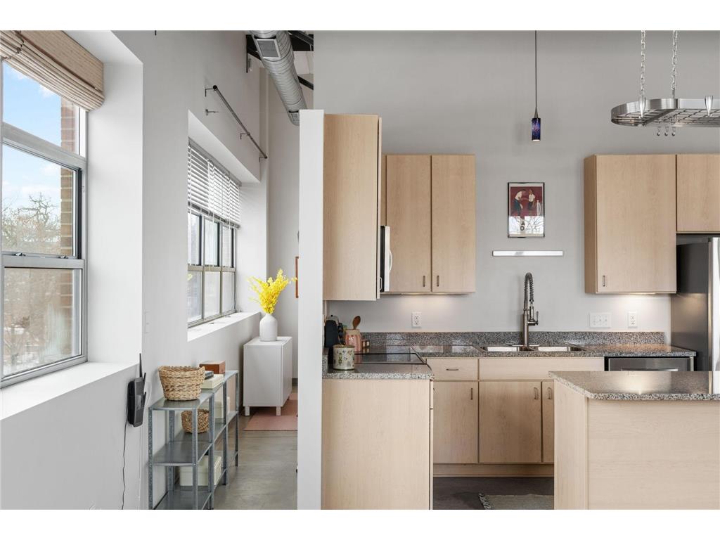 111 E Franklin Avenue #316 Minneapolis MN 55404 7060557 image7