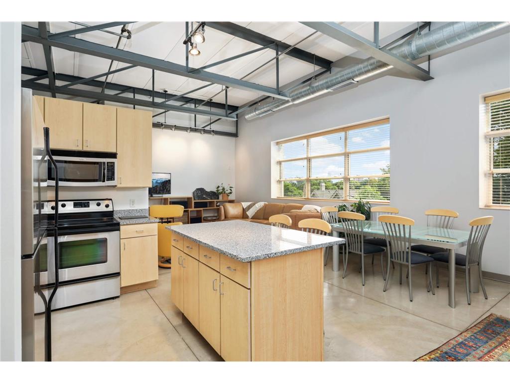111 E Franklin Avenue #318 Minneapolis MN 55404 6488943 image1