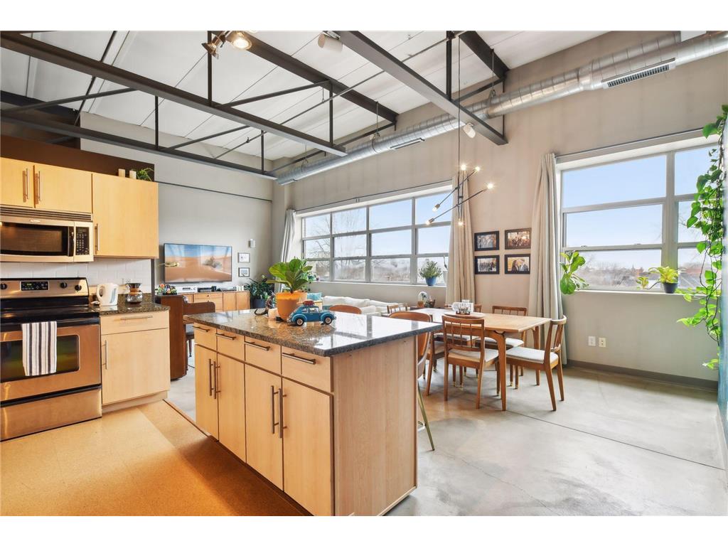 111 E Franklin Avenue #317 Minneapolis MN 55404 6509170 image1