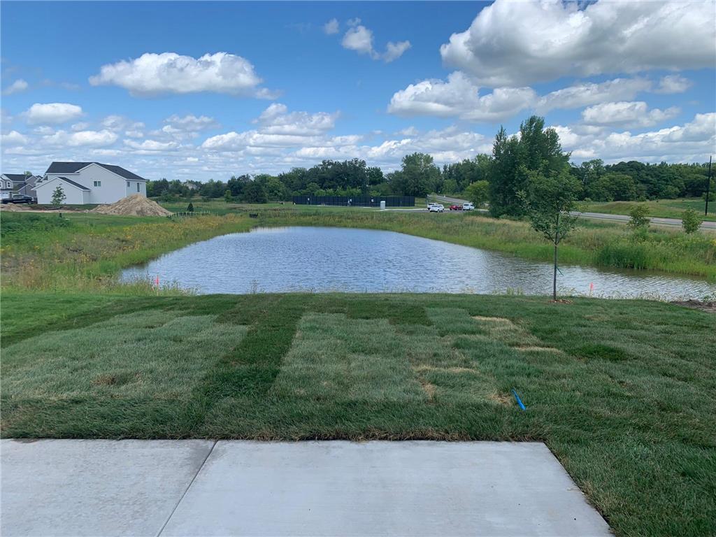 111 Lilac Court Buffalo MN 55313 7053467 image29