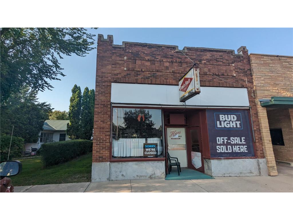 111 Park Avenue W, Hollandale, MN, 56045 MLS 6497874 Edina Realty