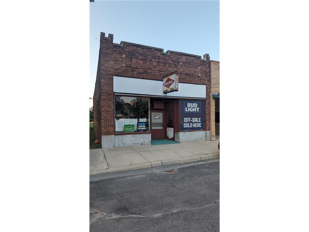 111 Park Avenue W, Hollandale, MN, 56045 MLS 6497874 Edina Realty