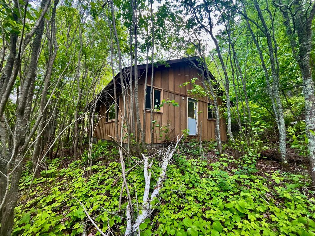 111 Wakeman Bay Road Wabana Twp MN 55744 - Wabana 6741949 image1