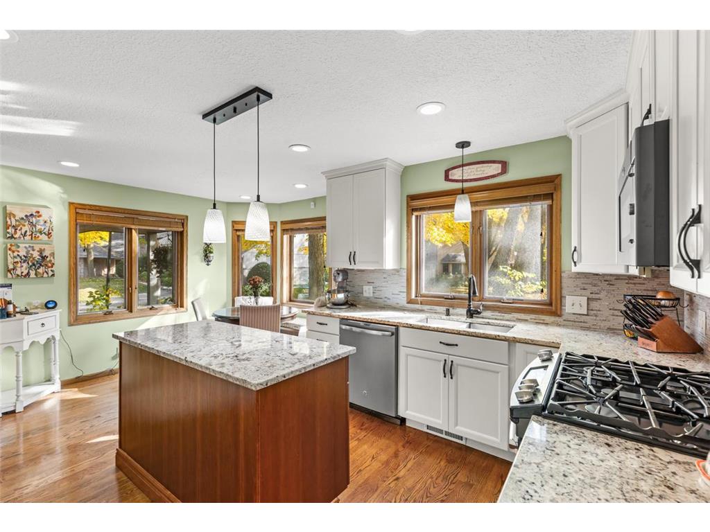 1110 Hollybrook Drive Wayzata MN 55391 6809982 image5