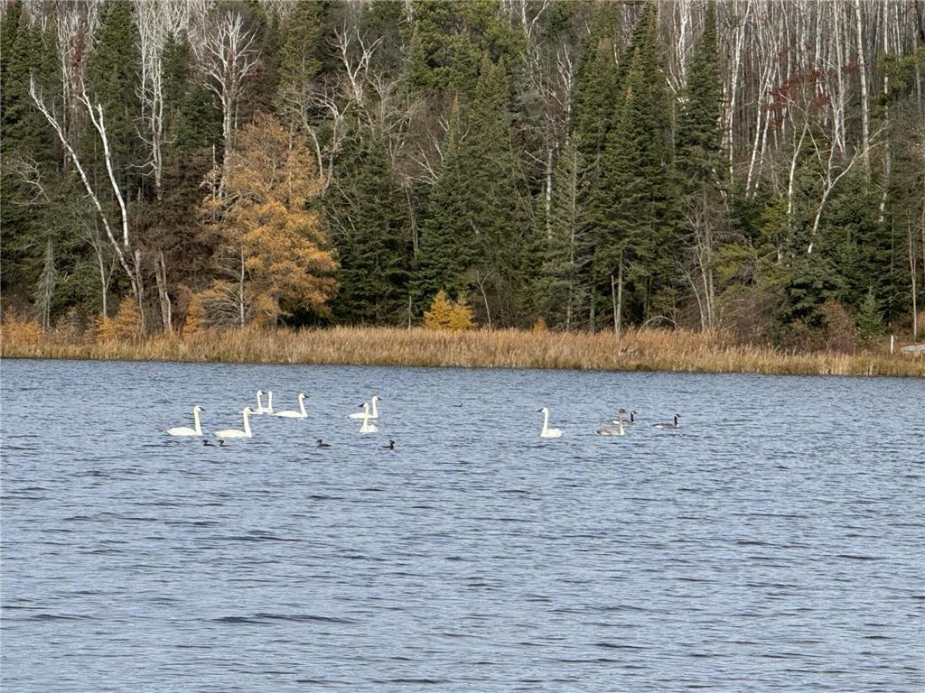 11100 Fisher Lane Park Rapids MN 56470 - Portage 7037370 image32