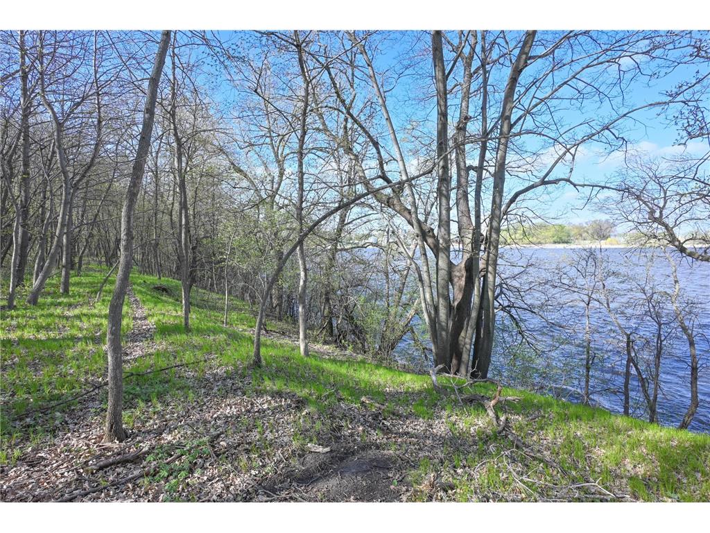 11115 350th Avenue Farwell MN 56327 - Christopherson 7042475 image1