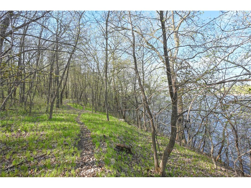 11115 350th Avenue Farwell MN 56327 - Christopherson 7042475 image10