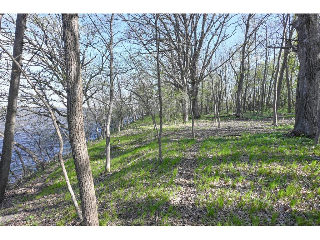 11115 350th Avenue Farwell MN 56327 - Christopherson 7042475 image11