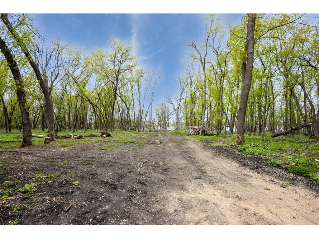 11115 350th Avenue Farwell MN 56327 - Christopherson 7042475 image3