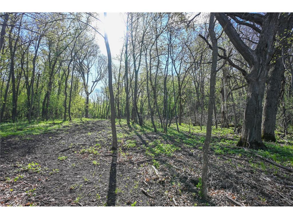 11115 350th Avenue Farwell MN 56327 - Christopherson 7042475 image5