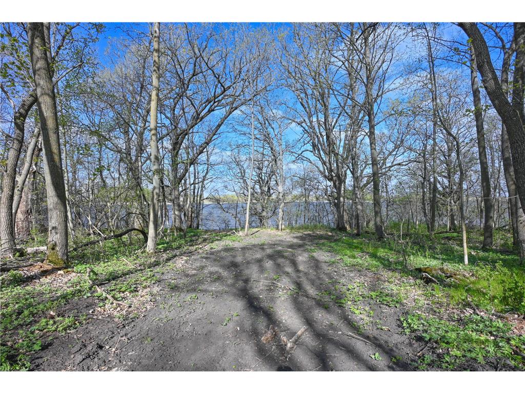 11115 350th Avenue Farwell MN 56327 - Christopherson 7042475 image6