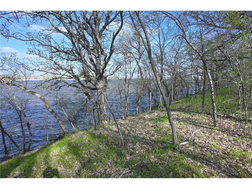 11115 350th Avenue Farwell MN 56327 - Christopherson 7042475 image7