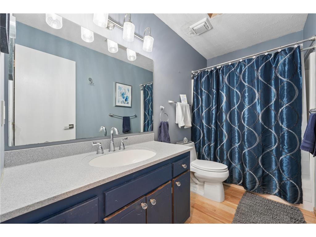 11116 Louisiana Court E Champlin MN 55316 7080464 image13