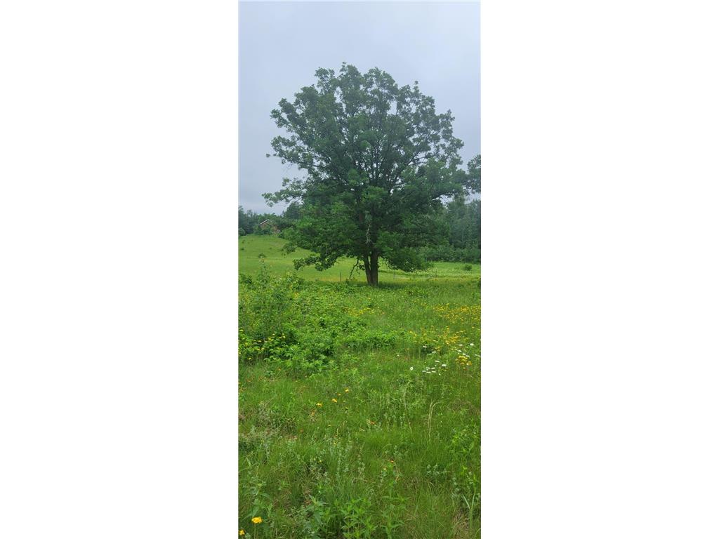 11116 N Blackberry Road Chicog Twp WI 54888 7086800 image7