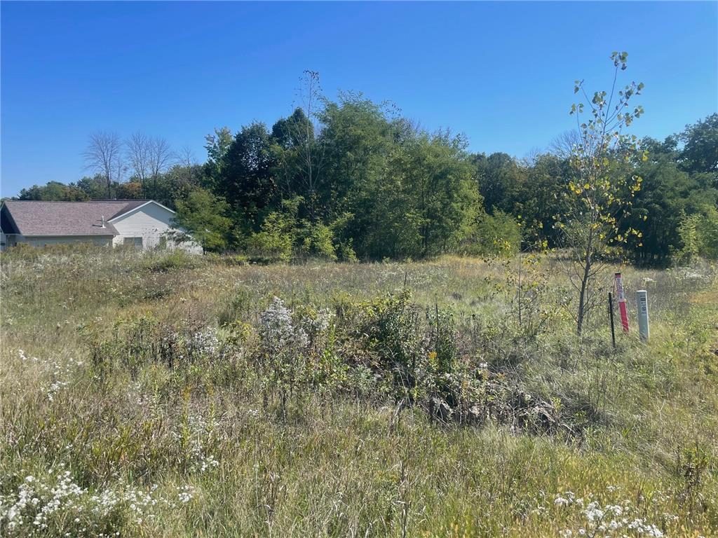 1112 Timber Path Menomonie WI 54751 6791964 image2