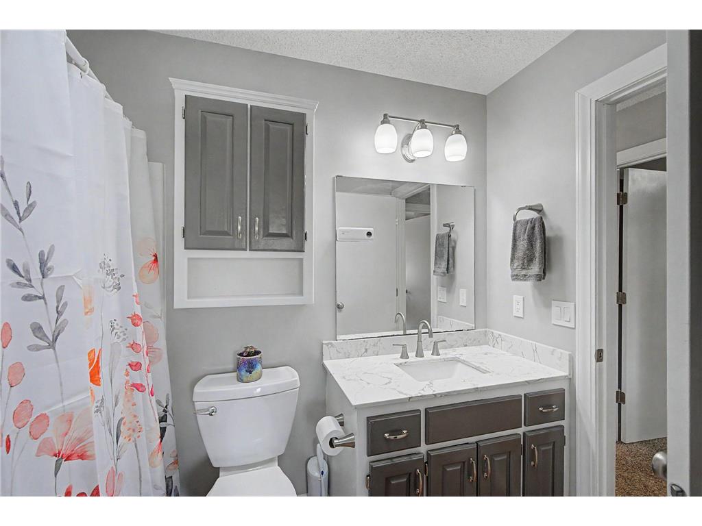 11120 Hampshire Court E Champlin MN 55316 7092666 image15