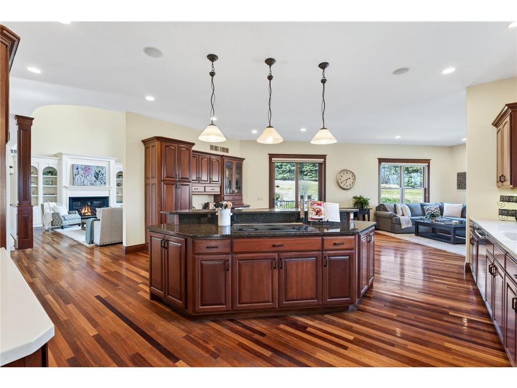 11125 Alameda Avenue Inver Grove Heights MN 55077 7040888 image24