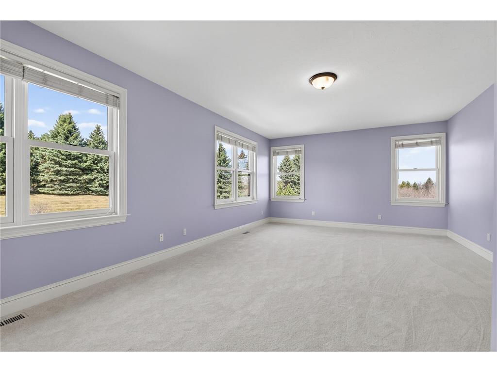 11125 Alameda Avenue Inver Grove Heights MN 55077 7040888 image50