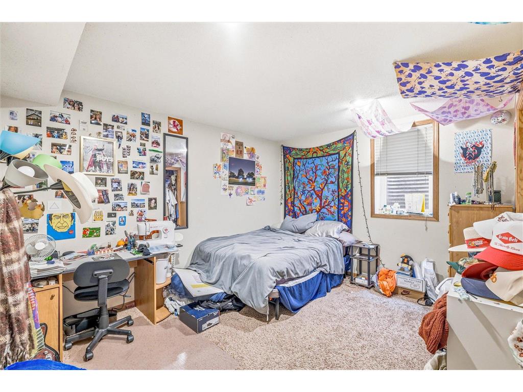 1113 17th Avenue SE Minneapolis MN 55414 7059570 image19