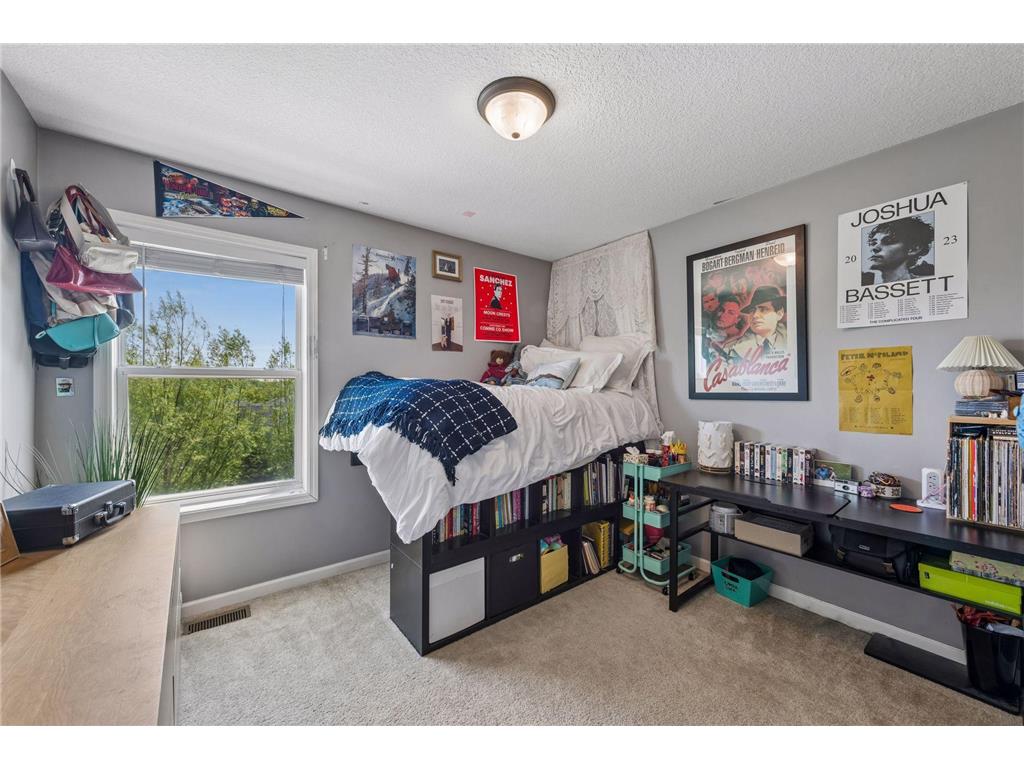 1113 Prairie View Lane Waconia MN 55387 7074418 image29