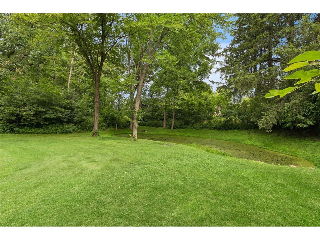 11130 20th Street Court N Lake Elmo MN 55042 - Elmo 7082986 image43